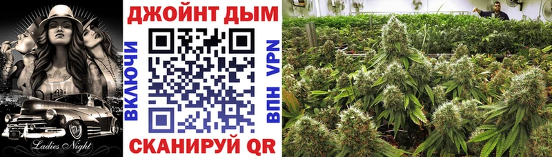 сайты даркнета какой сайт  Каменногорск  Шишки марихуана сатива 